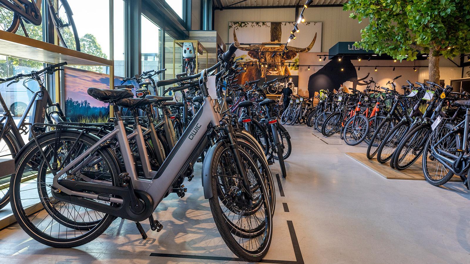 E-bikes
